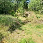 Forest With Panoramic View Near 度假居