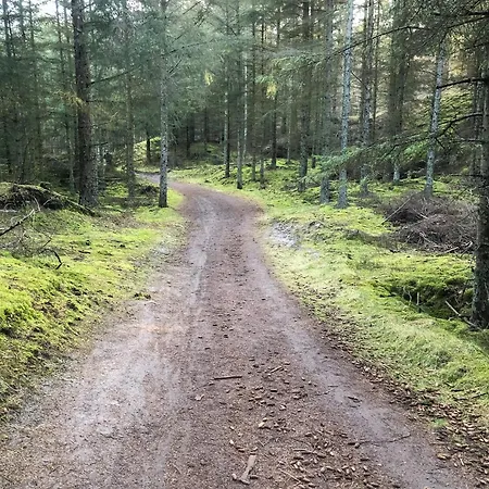Forest With Panoramic View Near Vakantiehuis Blokhus