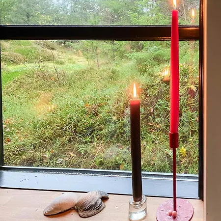 Forest With Panoramic View Near Vakantiehuis