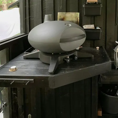 Forest With Panoramic View Near Vakantiehuis Blokhus