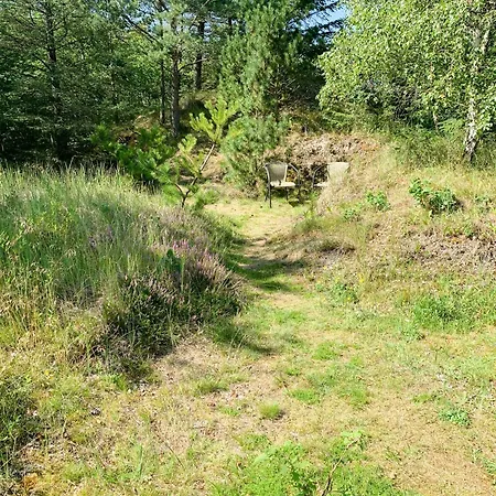 Forest With Panoramic View Near Nyaraló