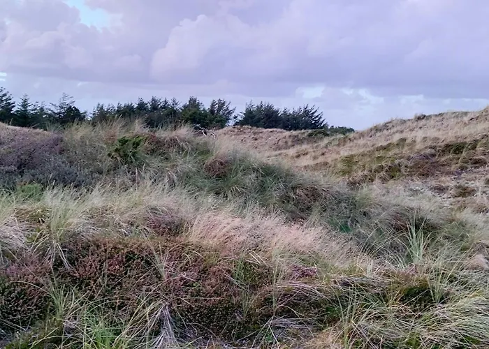 Prázdninový dům Forest With Panoramic View Near Blokhus