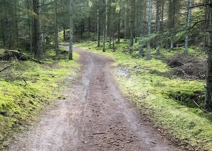 Forest With Panoramic View Near Prázdninový dům Blokhus