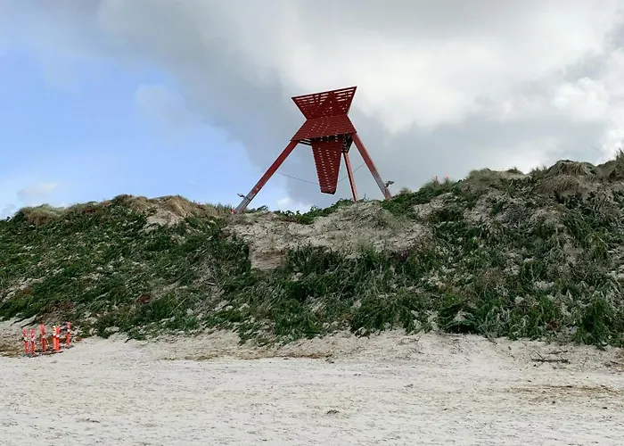 Forest With Panoramic View Near Blokhus