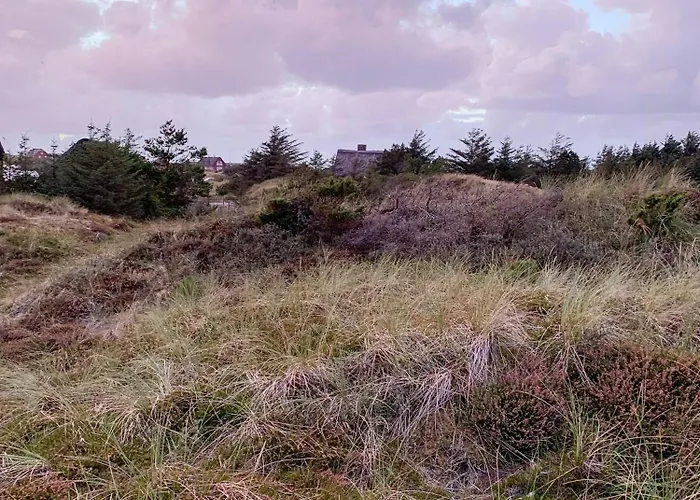 Forest With Panoramic View Near Prázdninový dům