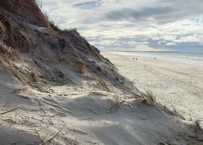 Forest With Panoramic View Near Prázdninový dům
